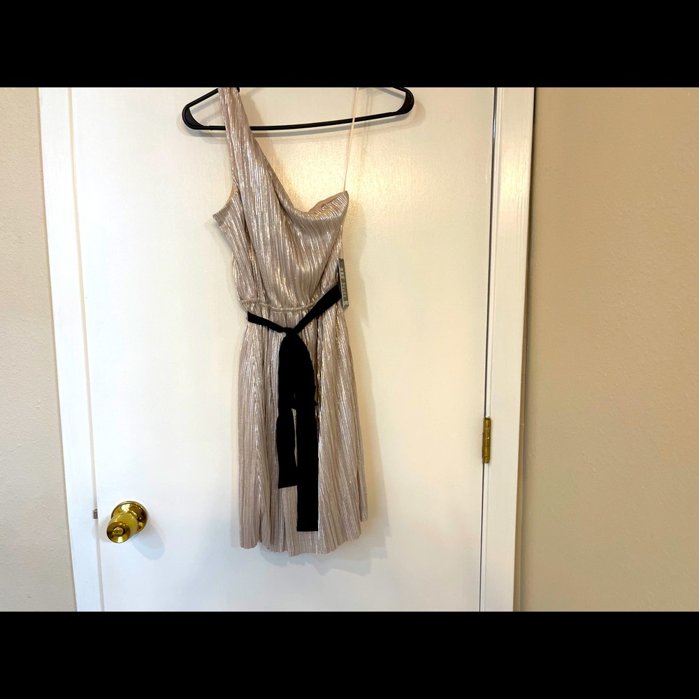 Dress from express